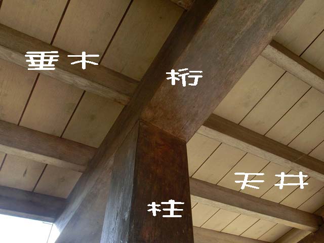 現況　部位　拡大と部位説明