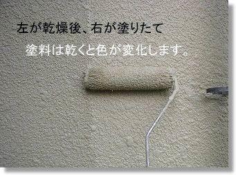 塗りたての色の比較の画像