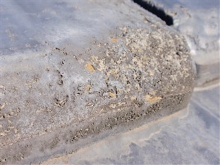 マクロ画像　プレスセメンと瓦　巣穴の発生の写真