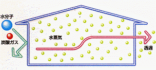 透湿性のイメージ