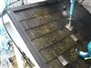 1階屋根の高圧水洗