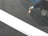 シーラー刷毛塗り