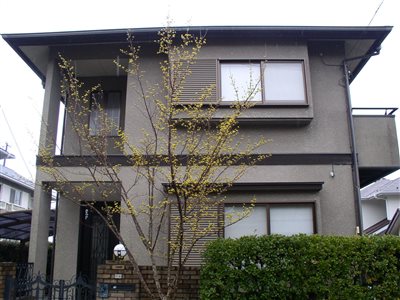 施工前 シリコン塗料 セラMシリコンⅡ 施工前 シリコン塗料 セラMシリコンⅡ